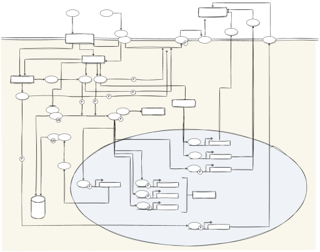 Mechanism of Action (MOA) Analysis