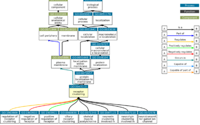 Gene Ontology (GO)