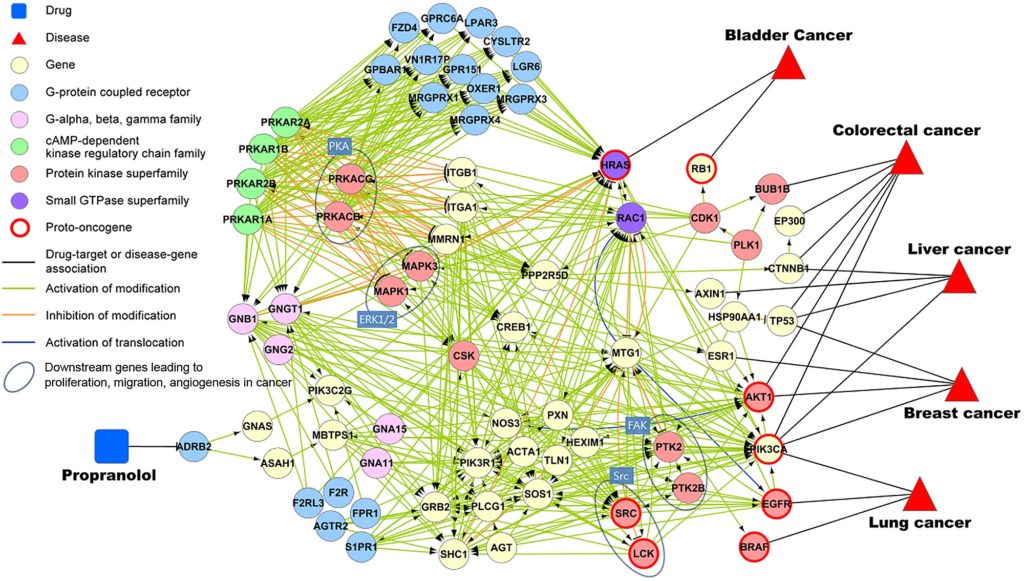 Biological Network