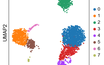 Single-Cell Data Analysis