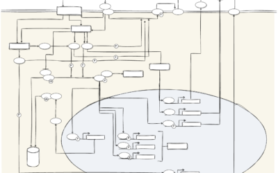 Retrieve Mechanism of Action from literature 