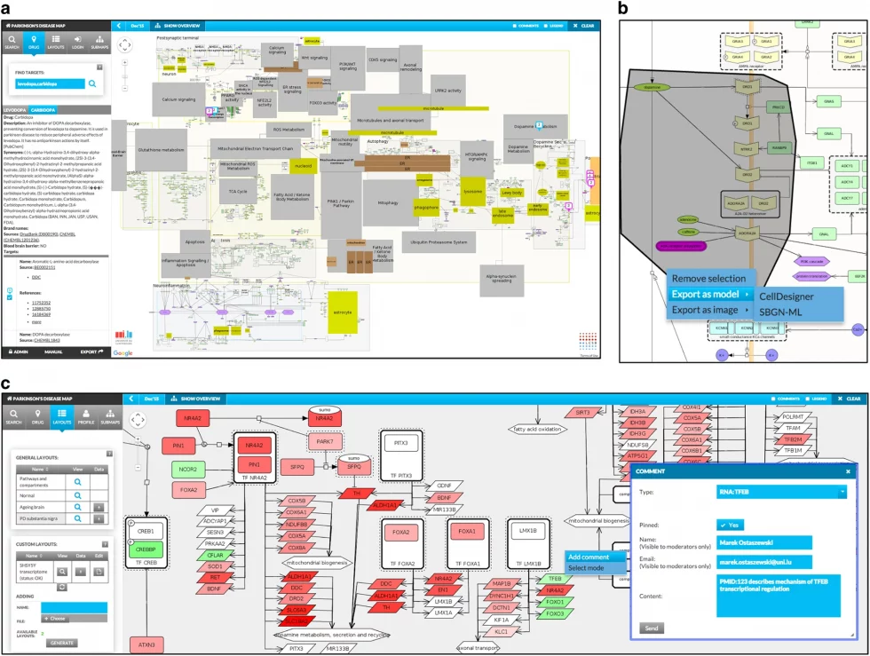 Minerva Platform 