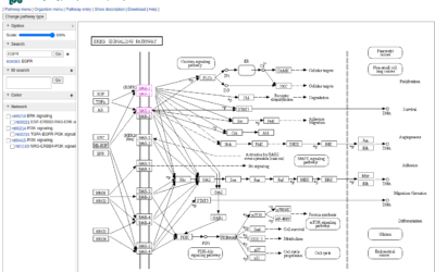 Pathway Databases