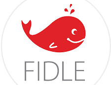 FIDLE Training